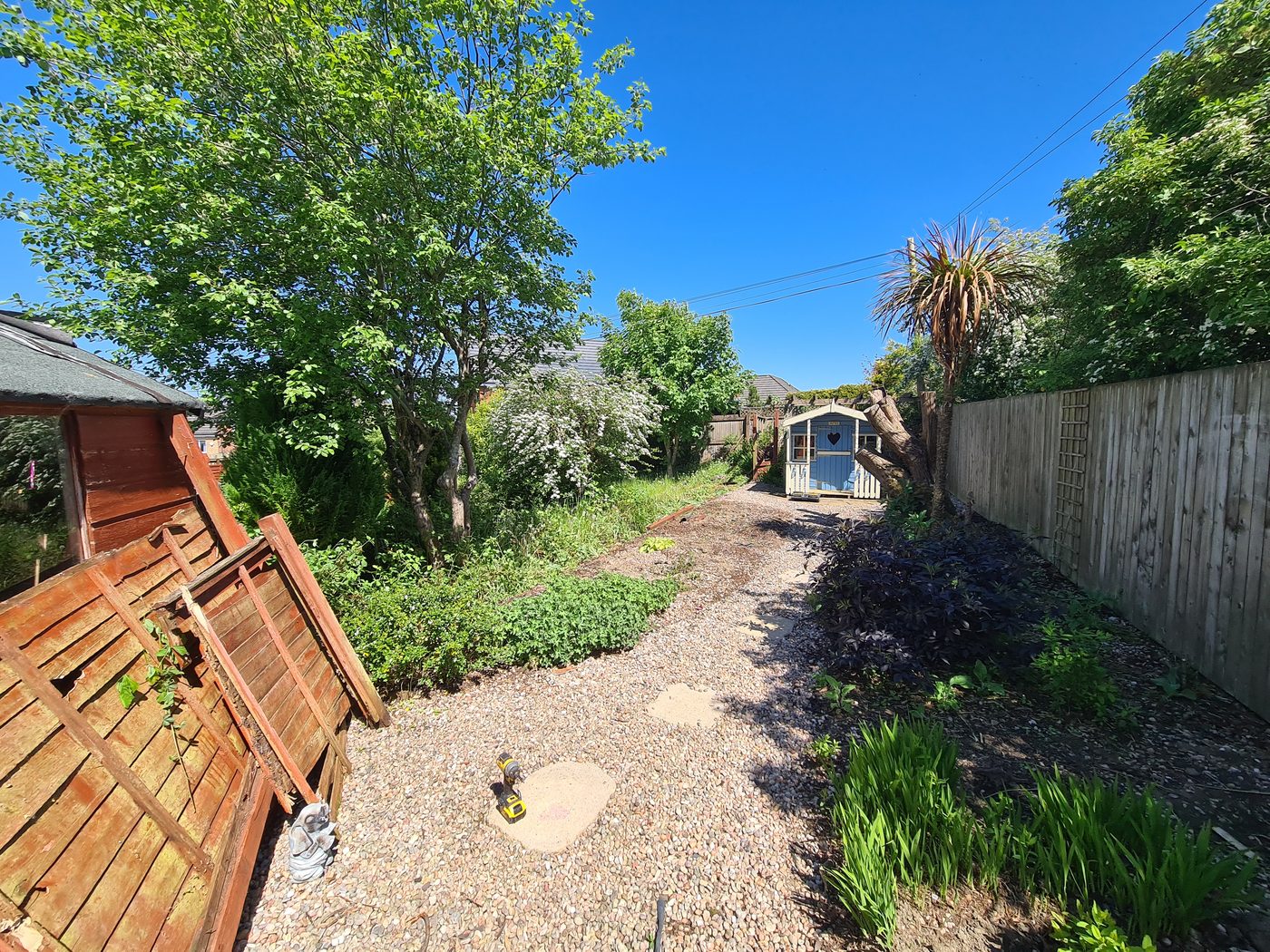 Overgrown, unusable garden before Murphy Construction